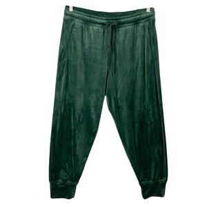 NWOT OFFLINE by AERIE Pants XL Emerald Velour Velvet Jogger Zip-Pocket Pull-Up